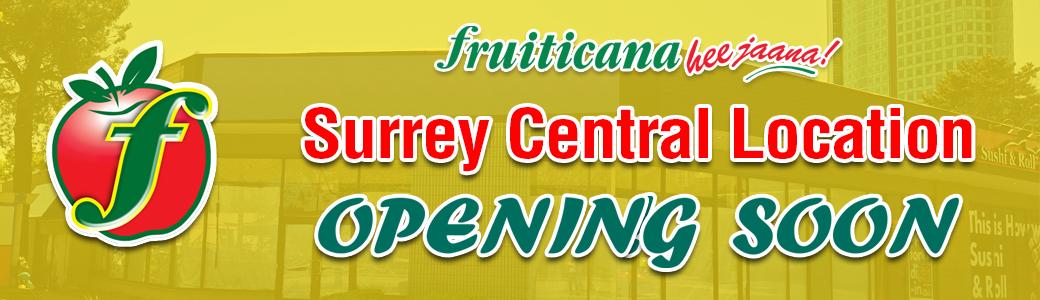 FFVSSurreyCentralWebBanner1040x300px2.jpg